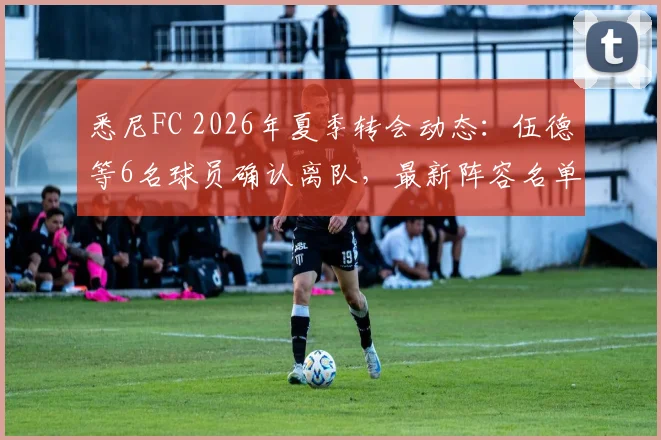 悉尼FC 2026年夏季转会动态:伍德等6名球员确认离队,最新阵容名单及引援策略前瞻