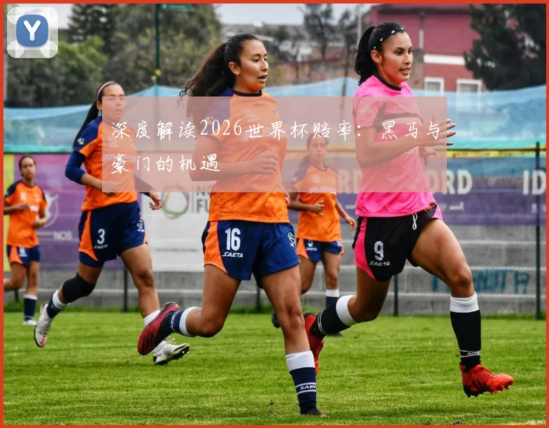 深度解读2026世界杯赔率:黑马与豪门的机遇
